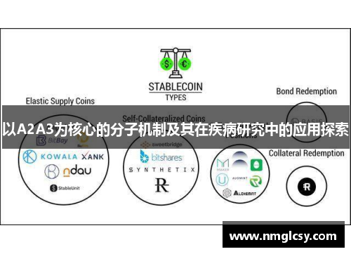 以A2A3为核心的分子机制及其在疾病研究中的应用探索