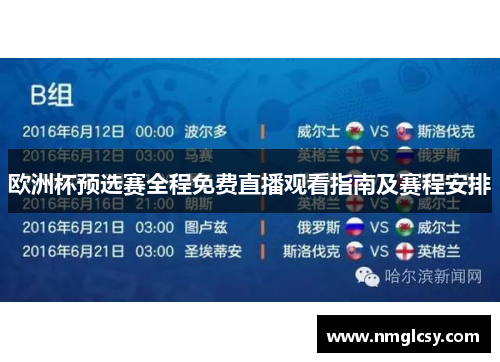 欧洲杯预选赛全程免费直播观看指南及赛程安排
